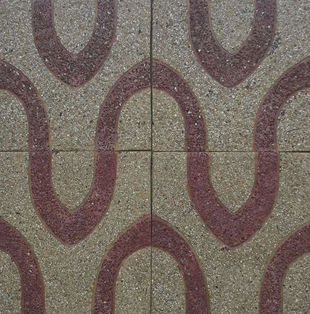 Serpiente B